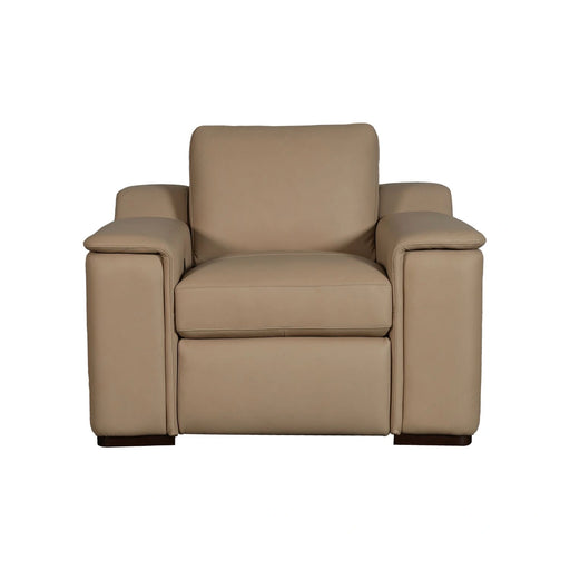 Armon Chair with Power Footrest ZG & WS image