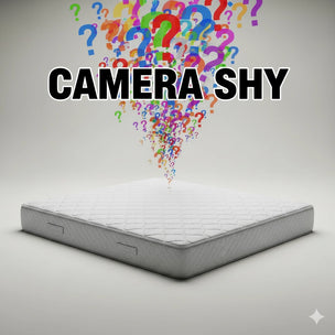 Sealy