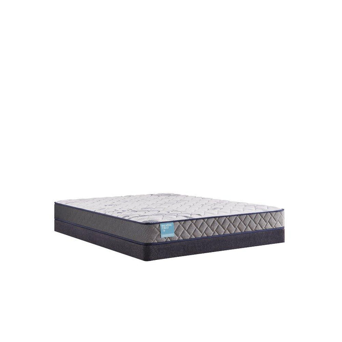 Sealy Nori Foam Mattress