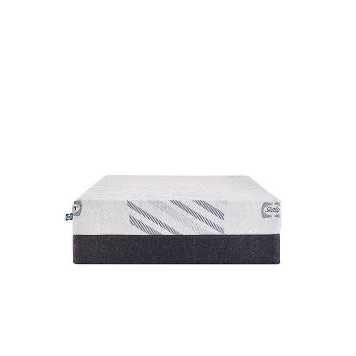 Sealy Lane Foam Mattress