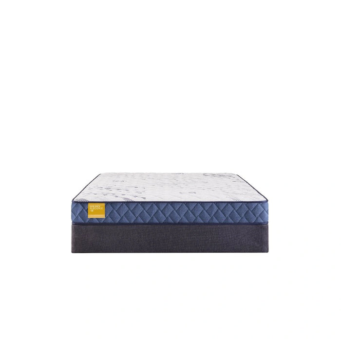 Sealy Erie Foam Mattress
